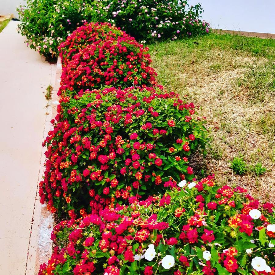Sole&Sale Bed and Breakfast San Teodoro  Εξωτερικό φωτογραφία