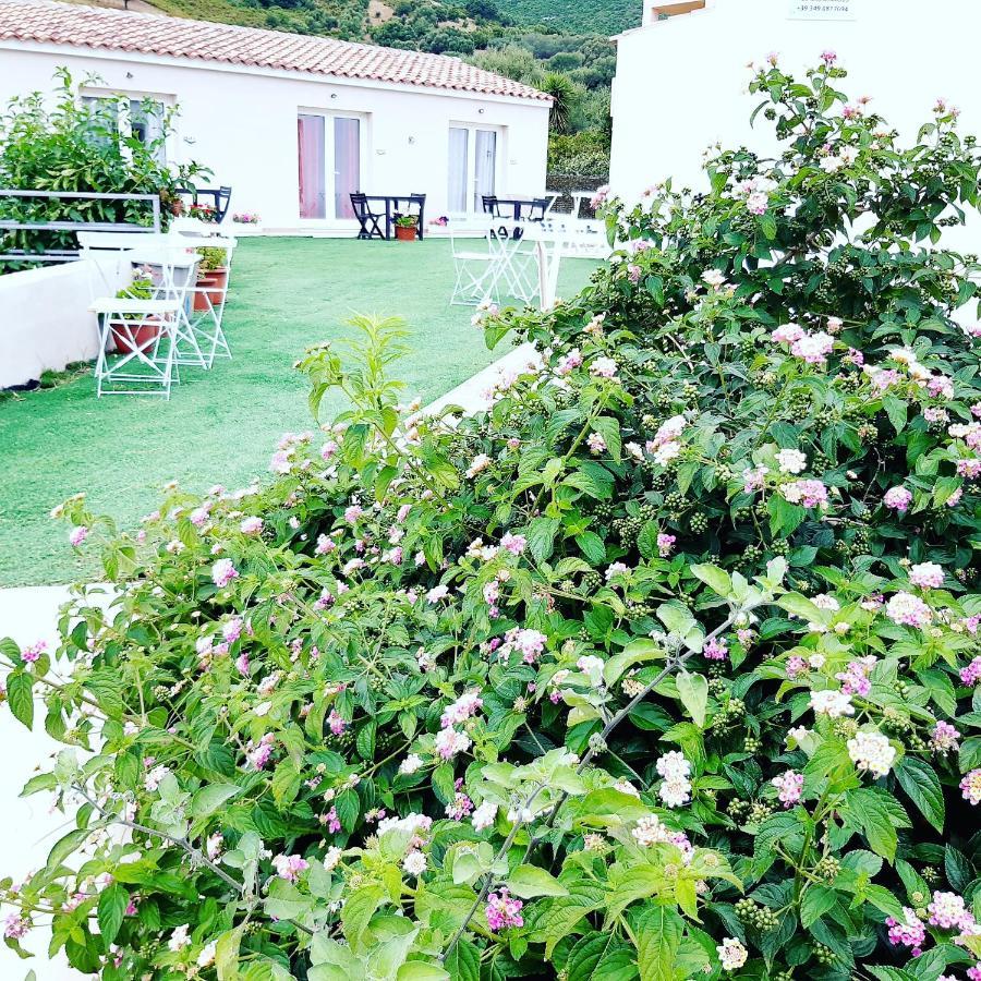 Sole&Sale Bed and Breakfast San Teodoro  Εξωτερικό φωτογραφία