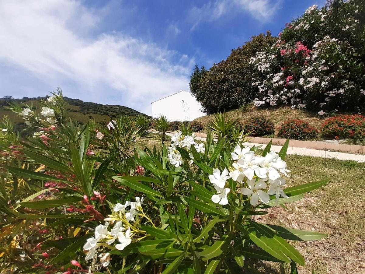 Sole&Sale Bed and Breakfast San Teodoro  Εξωτερικό φωτογραφία