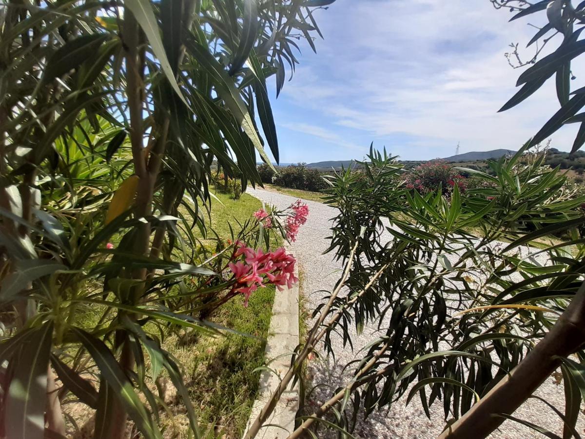 Sole&Sale Bed and Breakfast San Teodoro  Εξωτερικό φωτογραφία