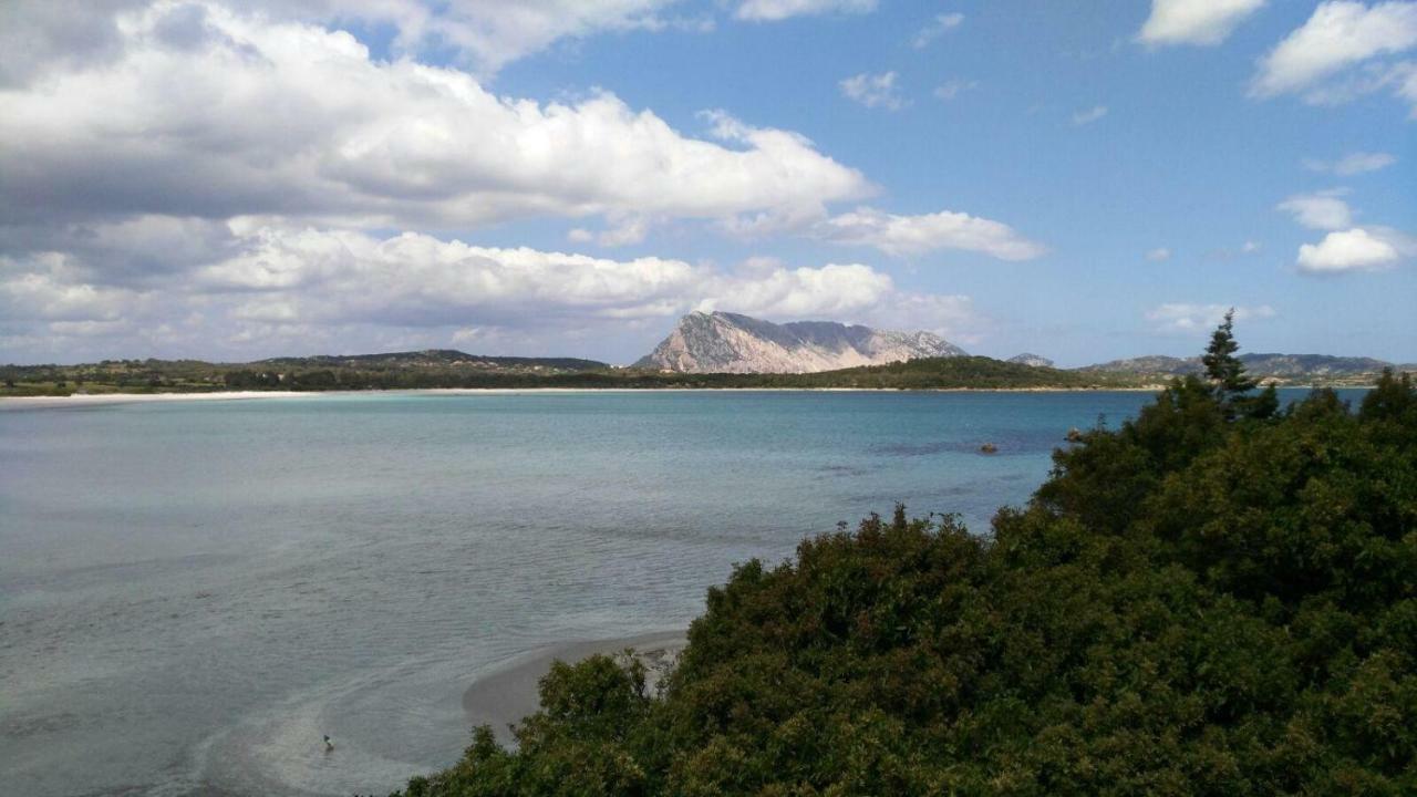 Sole&Sale Bed and Breakfast San Teodoro  Εξωτερικό φωτογραφία