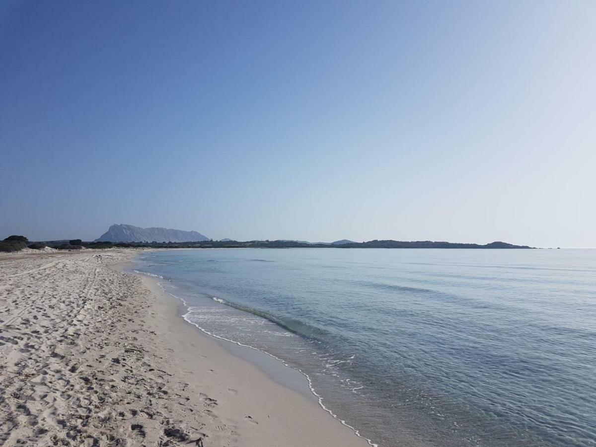 Sole&Sale Bed and Breakfast San Teodoro  Εξωτερικό φωτογραφία
